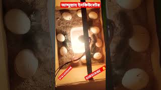 How to make incubator mechan. ডিম থেকে বাচ্চা ফুটানোর মেশিন। আব্দুল্লাহ ইনকিউবেটর এন্ড ইন্জিনিয়ারিং