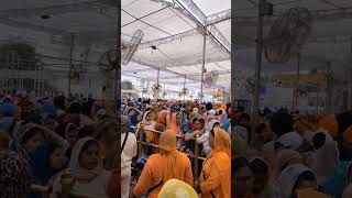 ਸੁਖਮਨੀ ਸਾਹਿਬ , ਪ੍ਰਬ ਕਾ ਸਿਮਰਨੁ ਸਭ ਤੇ ਊਚਾ #darbarsahib #goldentemple #shortfeed #live #punjab #gurbani