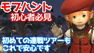 【FF14】モブハント初心者のための連戦ツアー案内