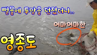 진흙투성이 뻘물에 투망을 던졌더니? 영종도 바다투망낚시 cast net fishing