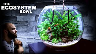 The Ecosystem Bowl: AMAZING NO WATER CHANGE & No Filter Aquarium (Aquascape Tutorial)