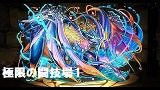 【パズドラ】極限の闘技場1 聖舶神・ネプチューン=ドラゴンpt(超究極ネプドラ) ソロ 試運転