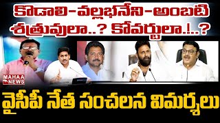 కొడాలి, అంబటి, వల్లభనేని, ద్వారంపూడి వల్ల జగన్ కి నష్టం.. సంచలన విమర్శలు చేసిన వైసీపీ నేత