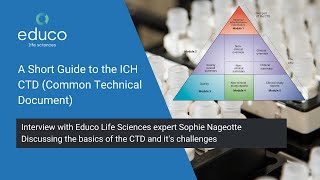 A Short Guide to the ICH CTD (Common Technical Document)