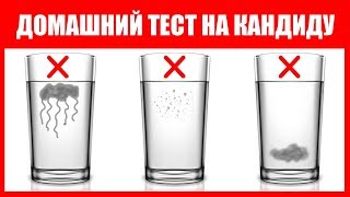 Как проверить наличие кандиды дома: простой тест