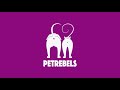 petrebels tv episode 2 the cat boat amsterdam