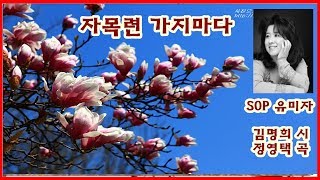 목련꽃이 피는 계절 /살며시 오시는 그대를 그리며(김명희 시/정영택곡) sop 유미자