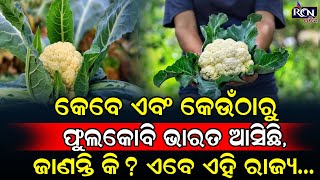 କେବେ ଏବଂ କେଉଁଠାରୁ ଫୁଲକୋବି ଭାରତ ଆସିଛି, ଜାଣନ୍ତି କି? ଏବେ ଏହି ରାଜ୍ୟ… | RCN ODIA