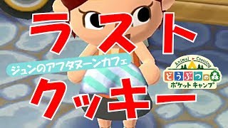 【ポケ森】いよいよラスト！ジュンのアフタヌーンカフェのクッキー！！！！！【どうぶつの森ポケットキャンプ】無課金でゆったり実況