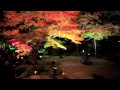 円通院 紅葉 ライトアップ 1 2009