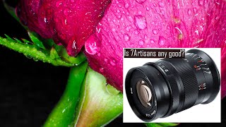 7Artisans 60mm f2.8 Lens Review $125. on Olympus Om-d E-m1 Mark II Camera Any Good? Photo Class 259