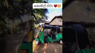 නොමල් විදියට ඉන්න එකක් 🥰EP:494 #tuktuk #modified #short_video_status #subscribe #channel