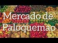 PROBANDO FRUTAS EN COLOMBIA! // Vlog#7