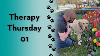 My dog went on a therapy visit! #dogs #labrador