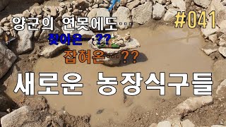 양군의 주말농장 연못에 들어온 손님들