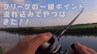 クリークの流れ込みでアドレナをぶち曲げるやつが来た！