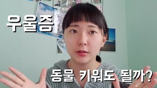 우울증, 정신건강치료 과연 동물을 키우는 게 옳을까?