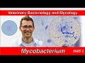 Mycobacterium (Part 2) - Veterinary Bacteriology and Myology