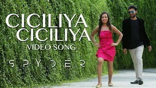 Spyder Movie | Ciciliya Ciciliya Full Video Song | Sukumar, Likitha | TFCCLIVE