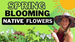 Early Spring Blooming Wildflowers For Every Native Garden!