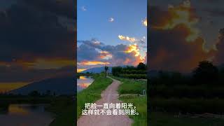 把脸一直向着阳光，这样就不会看到阴影。#心灵成长#爱与希望#积极心态#情感支持#自我提升#心灵平静#放松技巧