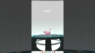 2023年9月Pokémon GO SV shiny evolution 色違寶可夢精靈進化✨️朱紫究極解鎖帕底亞paldea愛吃豚Lechonk飛天少女豬事丁粉紅豬飄香豚雄性樣子Oinkologne