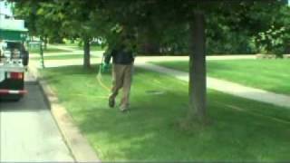 Organic Lawn Care in Buffalo NY | Seasonal Lawncare