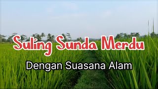 SULING SUNDA MERDU DENGAN SUASANA ALAM || KECAPI SULING SUNDA MERDU