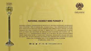 National Assembly Plenary, 1st June 2022,