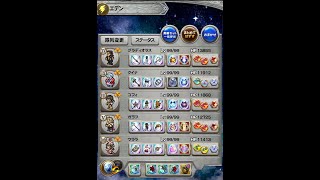 FFRK　エデン　地弱点物理　攻撃D覚無し、究極無し、真奥義１個