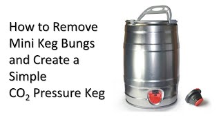 Mini Keg Bung Removal : Re-using Mini Kegs : Mini Keg Pressure Valve