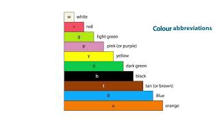 What are Cuisenaire rods?