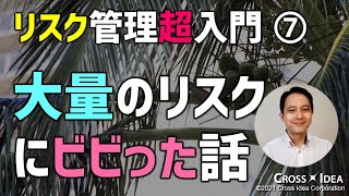 リスク管理「超」入門(7)～大量のリスクにビビった話～因果関係に着目してリスクを整理し、絞り込む方法～【プロマネの右腕】