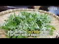 먹거리정보 쑥의 효능과 부작용까지 한 번에 artemisia princeps