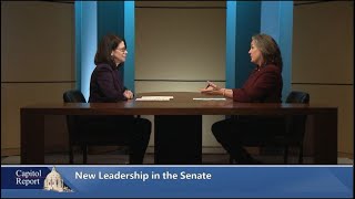 New Leadership in the Minnesota Senate