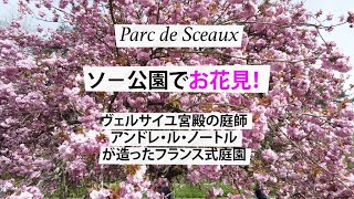 Parc de Sceauxソ－公園でお花見！Aikoと歩くドラマティックなパリ