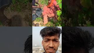 দেখো এরা কি করতেছে #shorts #shortvideos