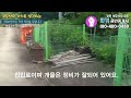 구미토지매매 선산습례리 마을끝자락전원주택지 대지169평 매매가6 200만원에서5 200만원으로내림 구미부동산 귀농귀촌 구미전원주택지 구미촌집 구미주택 구미주택지 구미토지매매