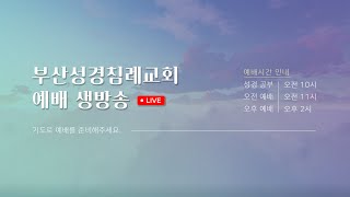 부산성경침례교회  주일오전예배(11시) 온라인생방송  2025. 2. 23