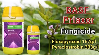 Prixar fungicide | BASF prixaor fungicide | BASF Prixar | BASF Prixar fungicide | प्रायक्सर फंगीसाइड