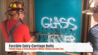 WTGB-Forcible Entry Carriage Bolts