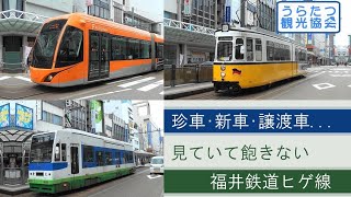 珍車･新車･譲渡車...見ていて飽きない福井鉄道「ヒゲ線」