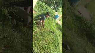 desi grass cutter(ଇମର୍ଜେନ୍ସି ଘାସ କଟା ମସିନ)