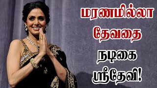 மரணமில்லா தேவதை நடிகை ஸ்ரீதேவி! Actress Sri Devi | Death Anniversary | #sridevi #actresssridevi