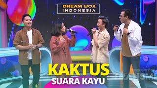 Kaktus Suara Kayu DREAM BOX INDONESIA 26 1 23