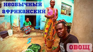 Необычный Африканский Традиционный Овощ