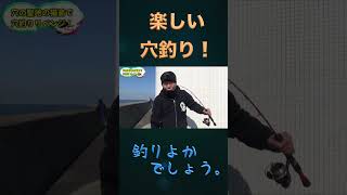 楽しい穴釣り!!#shorts【釣りよか切り抜き】