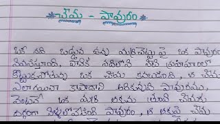 story:cheema pavuram and moral | with neat handwriting | Telugu