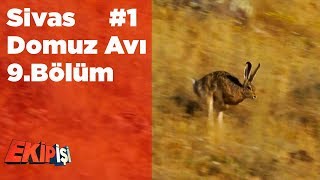 Sivas Domuz Avı 1 Ekip İşi 9.Bölüm Yaban Tv Wild Boar Hunting