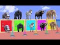 Cow Elephant Zebra Gorilla Hippo Guess The Right Key ESCAPE ROOM CHALLENGE Animals Cage Game